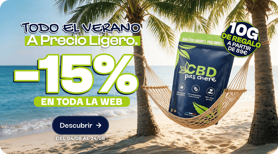 oferta actual