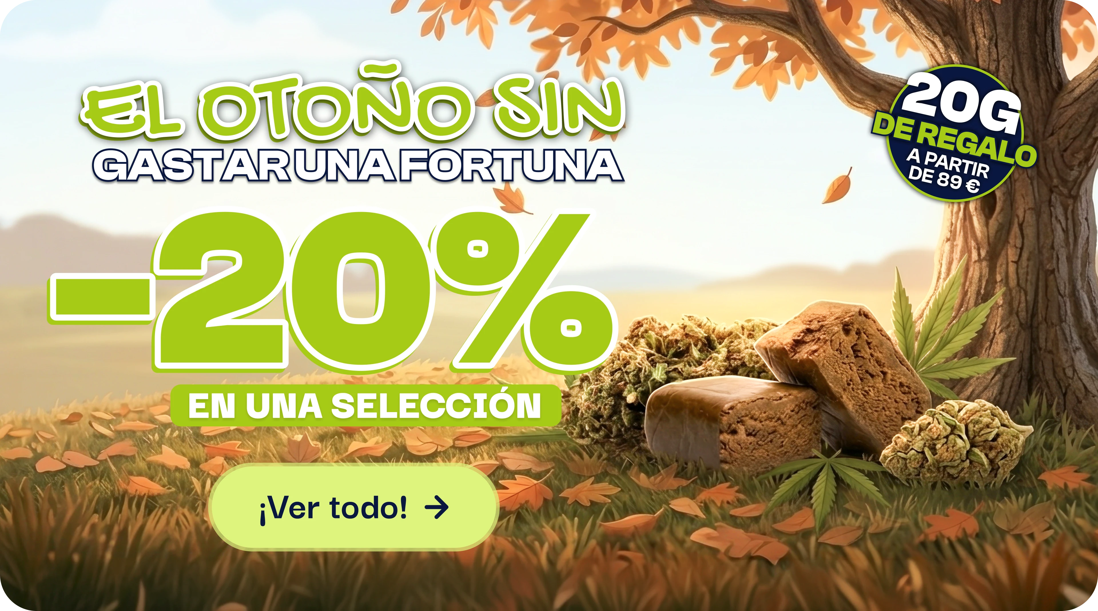 oferta actual