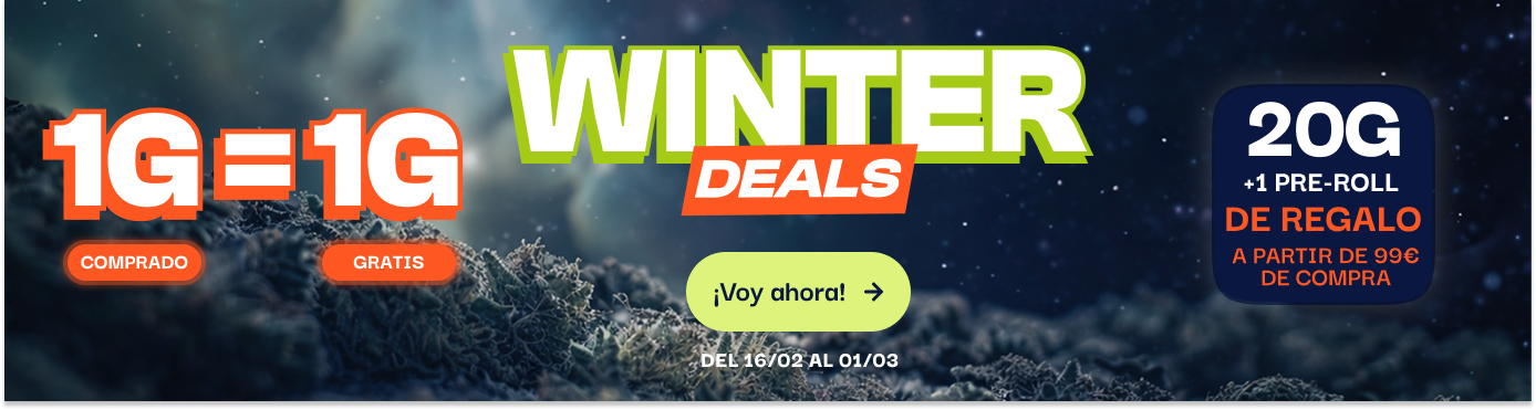 CBD pas chere offre du moment