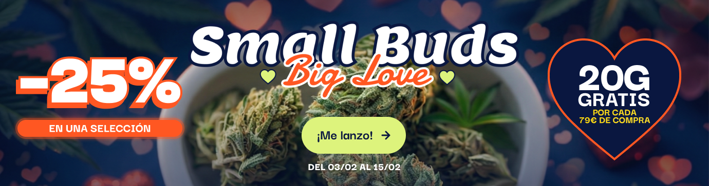 CBD pas chere offre du moment