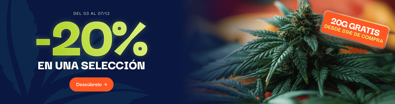 CBD pas chere offre du moment