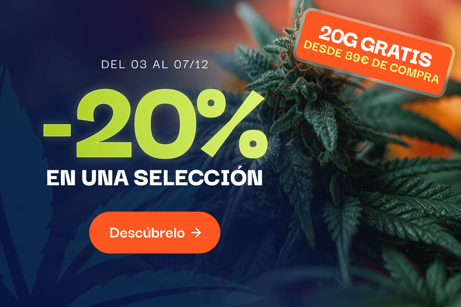 CBD pas chere offre du moment