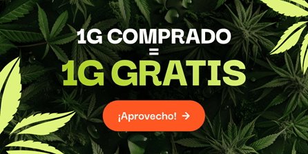 CBD pas chere offre du moment