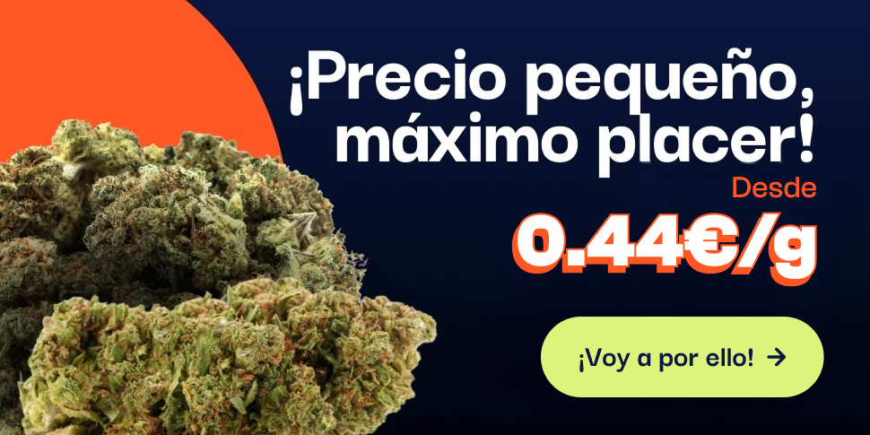 CBD pas chere offre du moment