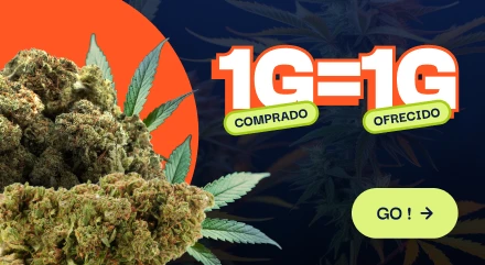 CBD pas chere offre du moment