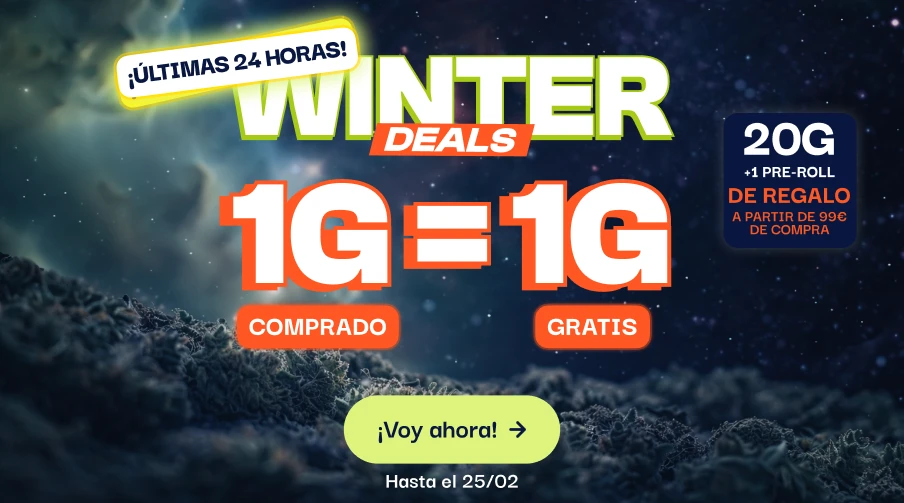 CBD pas chere offre du moment