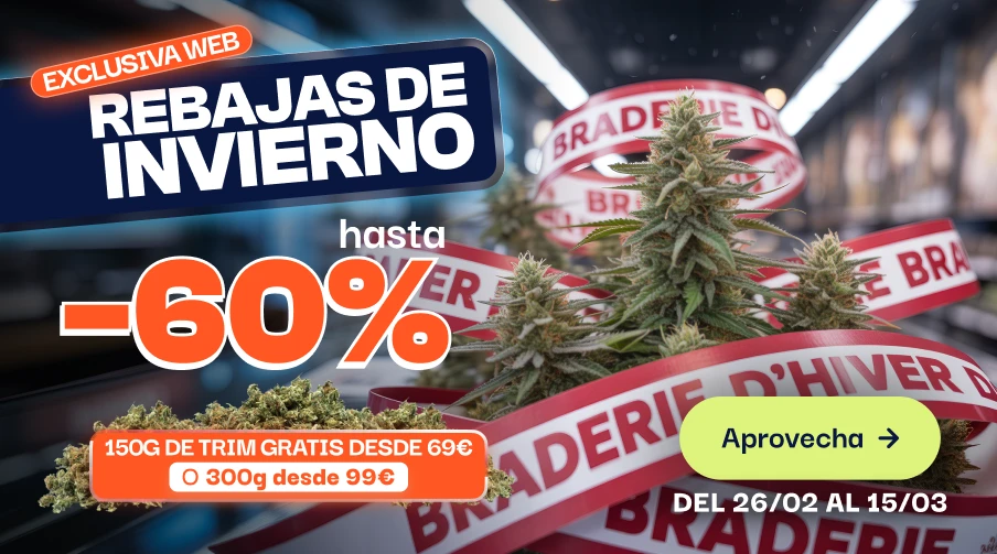 CBD pas chere offre du moment