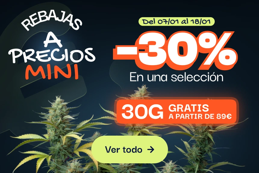 CBD pas chere offre du moment