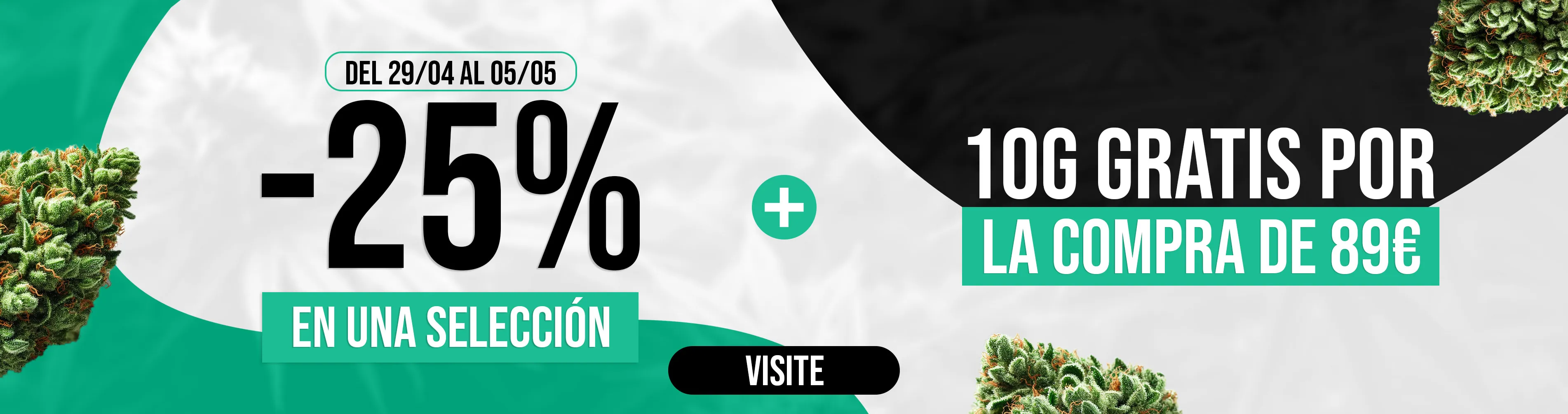 Offre du moment